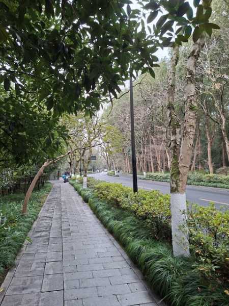 Соло Китай вне сезона: Чунцин + Шанхай (Ханчжоу + Сучжоу)