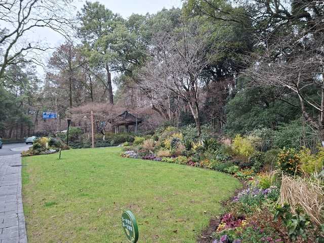 Соло Китай вне сезона: Чунцин + Шанхай (Ханчжоу + Сучжоу)