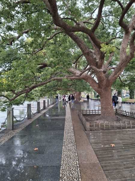 Соло Китай вне сезона: Чунцин + Шанхай (Ханчжоу + Сучжоу)