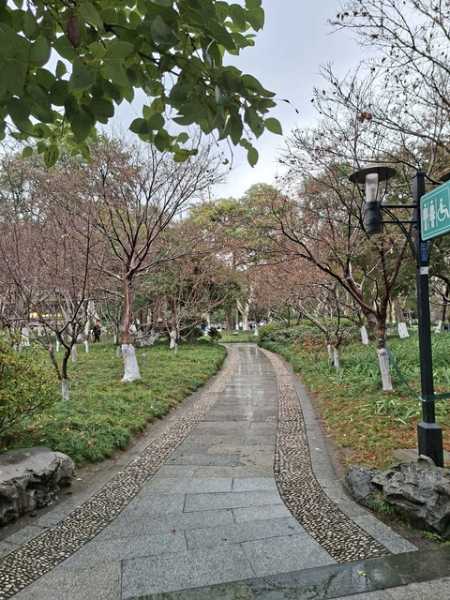 Соло Китай вне сезона: Чунцин + Шанхай (Ханчжоу + Сучжоу)