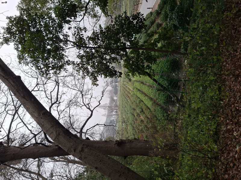 Соло Китай вне сезона: Чунцин + Шанхай (Ханчжоу + Сучжоу)