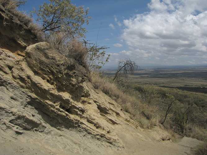 По национальным паркам Кении. Самостоятельно. Бюджетно. Соло. Январь 2026