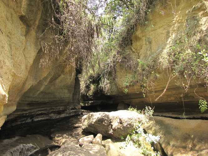 По национальным паркам Кении. Самостоятельно. Бюджетно. Соло. Январь 2026