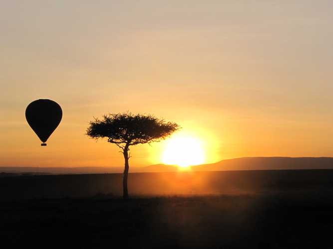 По национальным паркам Кении. Самостоятельно. Бюджетно. Соло. Январь 2026