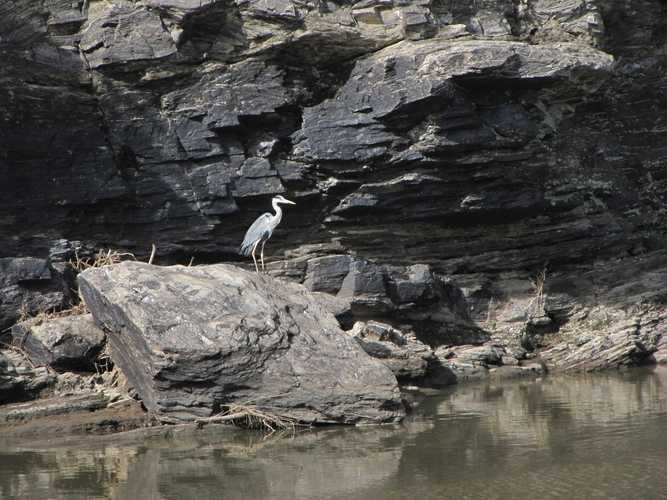 По национальным паркам Кении. Самостоятельно. Бюджетно. Соло. Январь 2026