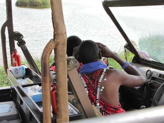 По национальным паркам Кении. Самостоятельно. Бюджетно. Соло. Январь 2026