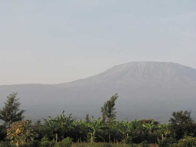 По национальным паркам Кении. Самостоятельно. Бюджетно. Соло. Январь 2026