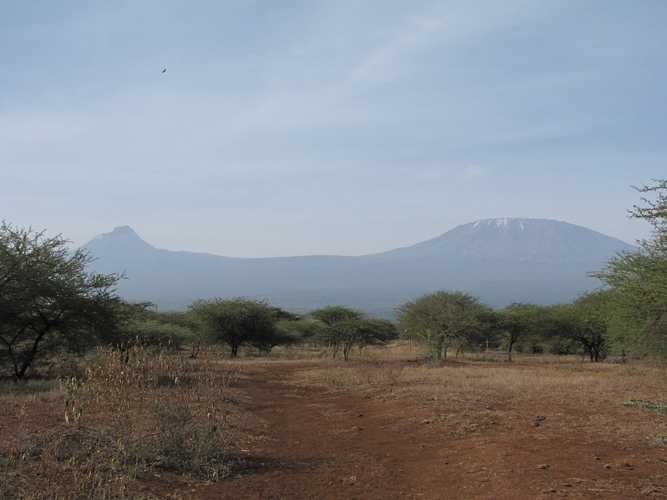 По национальным паркам Кении. Самостоятельно. Бюджетно. Соло. Январь 2026