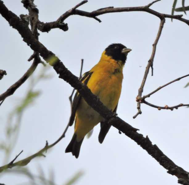Эквадор, в натуре!  С юга на север через всю страну (февраль 2026)