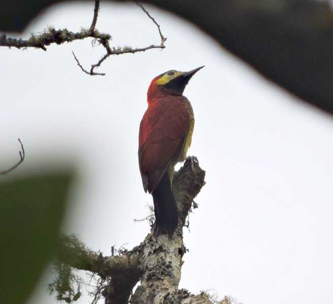 Эквадор, в натуре!  С юга на север через всю страну (февраль 2026)