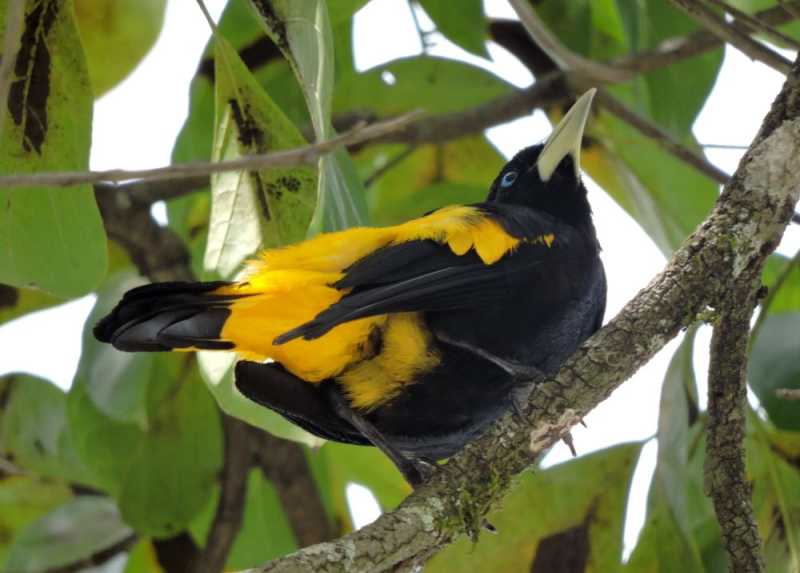 Эквадор, в натуре!  С юга на север через всю страну (февраль 2026)