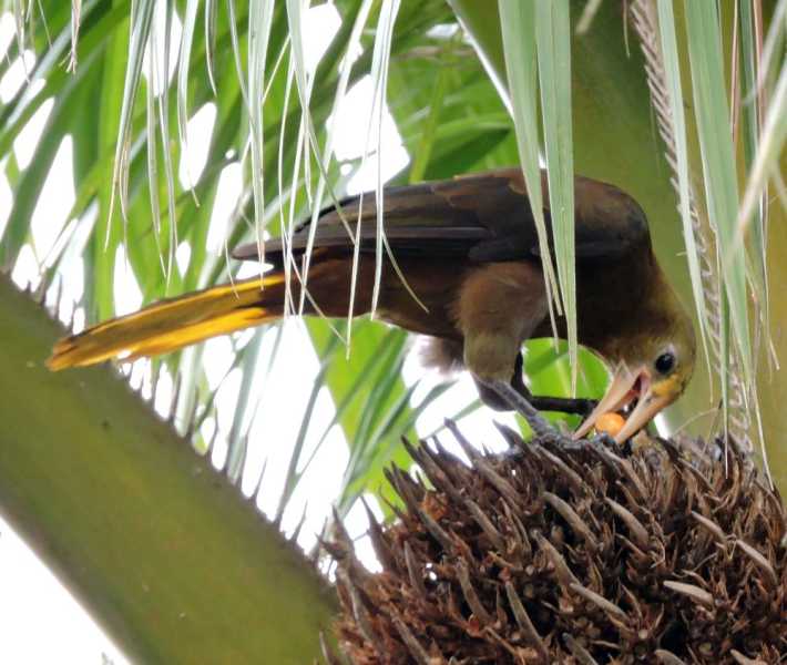 Колумбия-2025