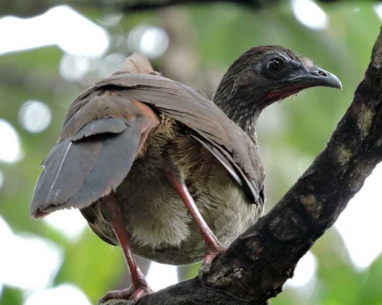 Колумбия-2025