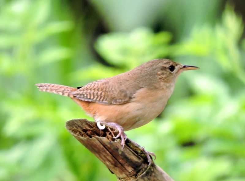 Колумбия-2025