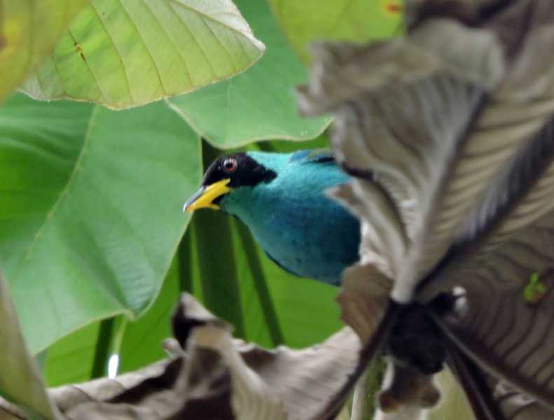 Колумбия-2025