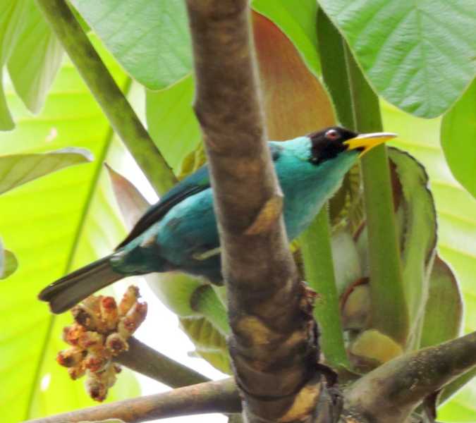 Колумбия-2025