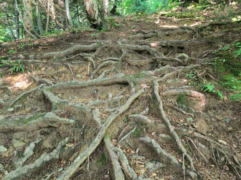 Триста горных километров и три оперы