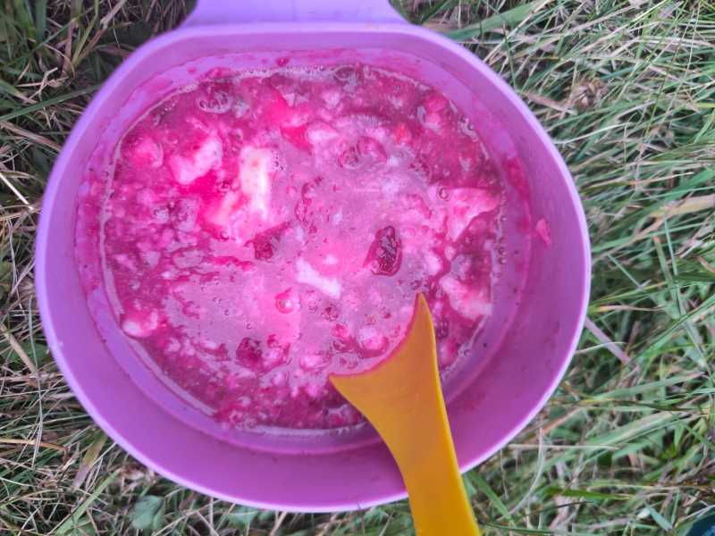 Триста горных километров и три оперы