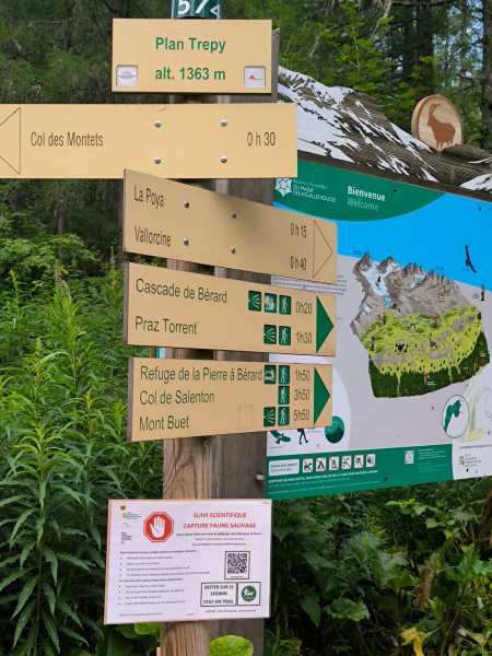 Триста горных километров и три оперы