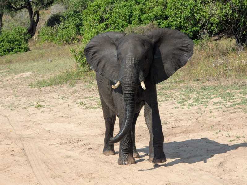 Водопад и Кейптаун апрель-май 2025