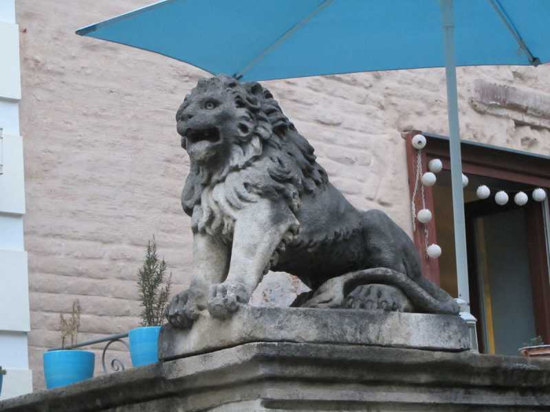 Потюленим в Загребе? Ноябрь 2021