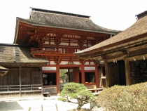 Yoshino