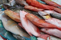 Панглао-Алоха бич