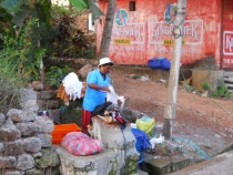 багмало индия 2011 india bagmalo