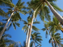 Боракай в январе 2012. Или как мы влюбились в Филиппины.