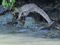 Заметки о первой самостоятельной поездке в Азию (БКК – Анкор – Пукет – Пи-Пи – Краби)