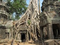 Заметки о первой самостоятельной поездке в Азию (БКК – Анкор – Пукет – Пи-Пи – Краби)