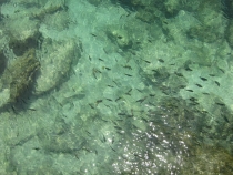 Заметки о первой самостоятельной поездке в Азию (БКК – Анкор – Пукет – Пи-Пи – Краби)