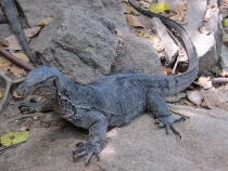 Заметки о первой самостоятельной поездке в Азию (БКК – Анкор – Пукет – Пи-Пи – Краби)