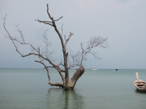 Заметки о первой самостоятельной поездке в Азию (БКК – Анкор – Пукет – Пи-Пи – Краби)