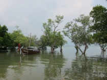 Заметки о первой самостоятельной поездке в Азию (БКК – Анкор – Пукет – Пи-Пи – Краби)