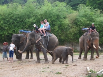 Заметки о первой самостоятельной поездке в Азию (БКК – Анкор – Пукет – Пи-Пи – Краби)