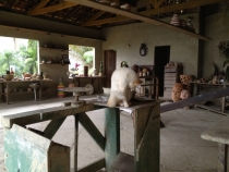 Вкус свободы....приключения рваного кармана по Бразилии (теперь с фото...редактируется)