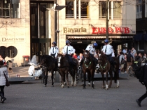 полиция Амстердама