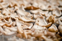 82 дня в Азии. Вьетнам - Гонконг - Филиппины. Ребенок 2,8г. -2 82 дня в Азии. Вьетнам - Гонконг - Филиппины. Ребенок 2,8г. -2