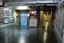 Отчет о поездке в США. Нью-Йорк, Флорида...