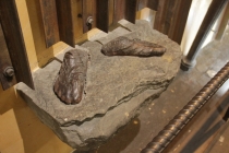 Отчет о поездке в США. Нью-Йорк, Флорида...