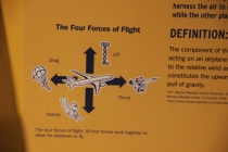 Отчет о поездке в США. Нью-Йорк, Флорида...