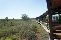 Вкус свободы....приключения рваного кармана по Бразилии (теперь с фото...редактируется)