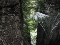 Ao Nang - Phi Phi - Ayttaya - Bangkok. Апрель 2012.