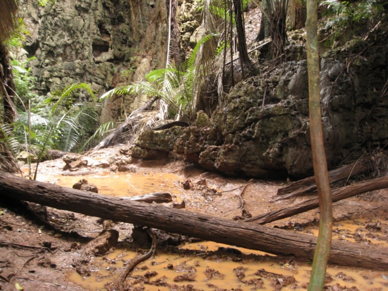 Ao Nang - Phi Phi - Ayttaya - Bangkok. Апрель 2012.