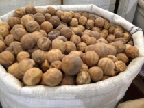 Иран_специи