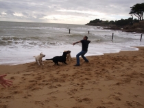 17 дней. Германия, Нидерланды, Бельгия, Франция, Италия, Австрия.