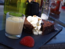 17 дней. Германия, Нидерланды, Бельгия, Франция, Италия, Австрия.