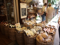 17 дней. Германия, Нидерланды, Бельгия, Франция, Италия, Австрия.