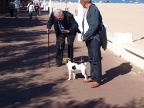 17 дней. Германия, Нидерланды, Бельгия, Франция, Италия, Австрия.